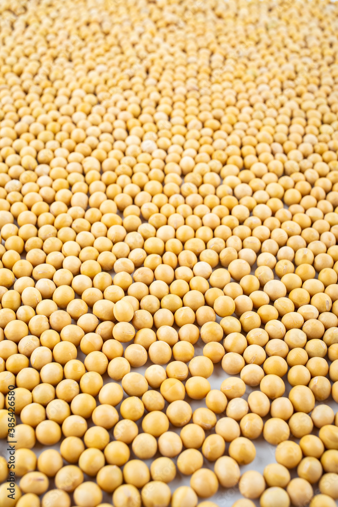 Full screen of golden soybeans