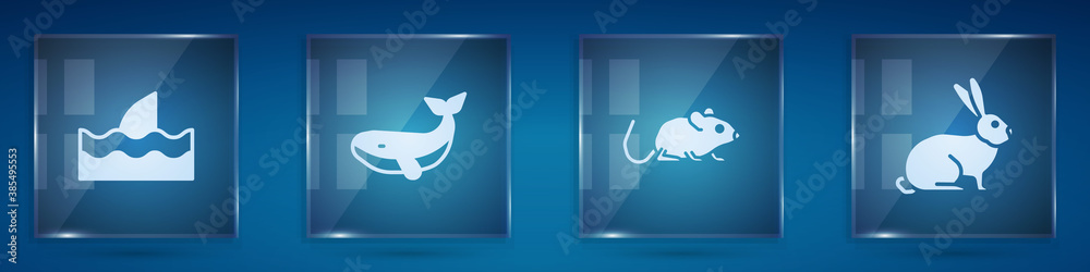 Set Shark fin in ocean wave, Whale, Rat and Rabbit. Square glass panels. Vector.