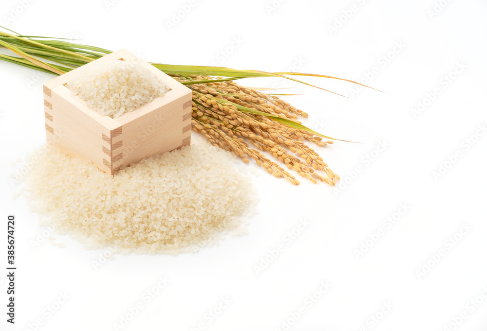 白底白米、麻苏和稻穗
