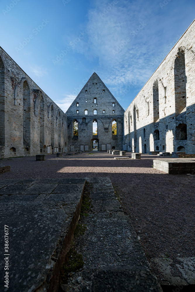 Ruins of Old Tallinn Monastery St. Brigitta in Pirita