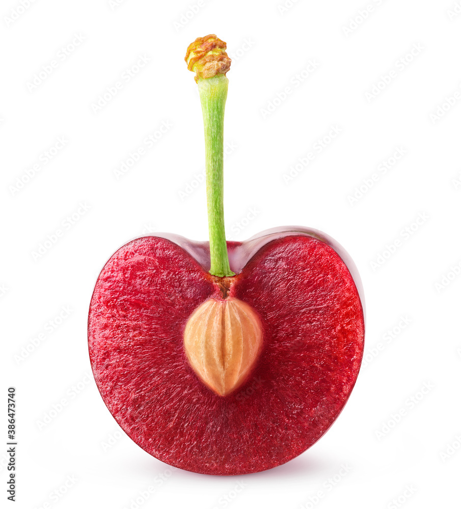 Cherry half with kernel on a short stem isolated on white background