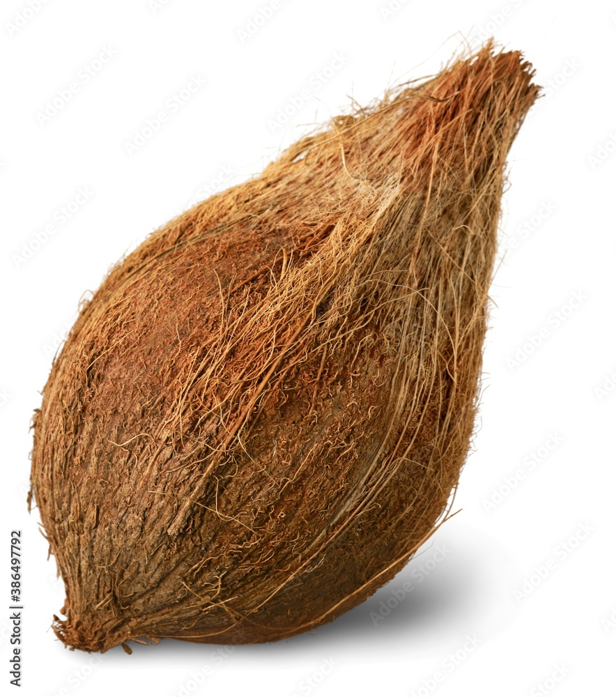 椰子。