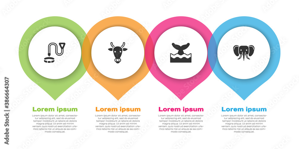 Set Collar with name tag, Cow head, Whale tail in ocean wave and Elephant. Business infographic temp