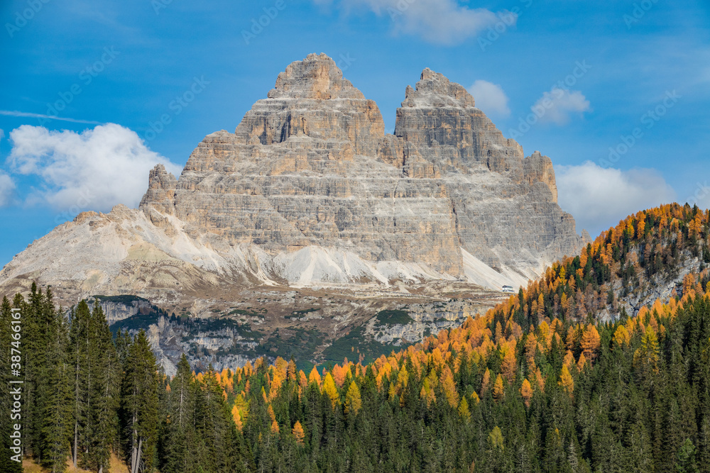 CLOSE UP Rocky ridge towers above a dense forest in Dolomites changing colors