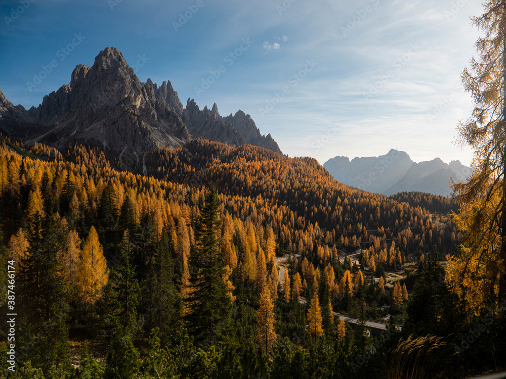 AERIAL: Flying over the colorful forests covering the valley under the Dolomites