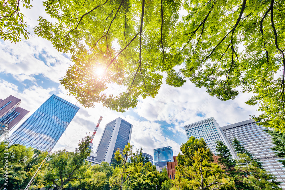 新緑の木と東京のビル群