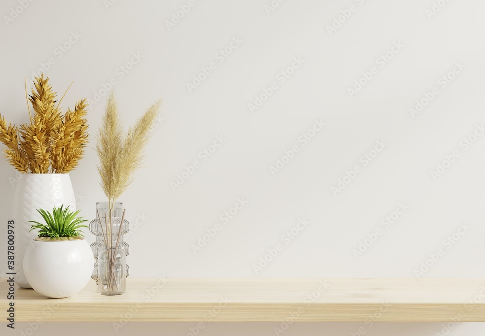 Mockup wall with ornamental plants on shelf wooden.