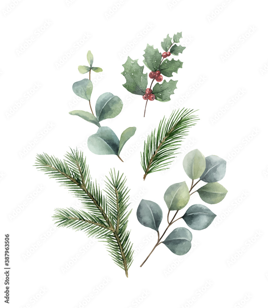 Watercolor vector Christmas card with fir branches and eucalyptus.