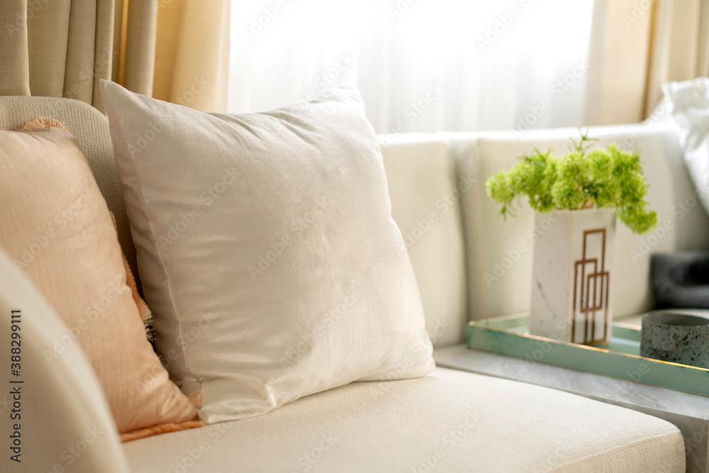 客厅的现代内饰，在阳光明媚的日子里有一部分沙发和白色窗帘内饰