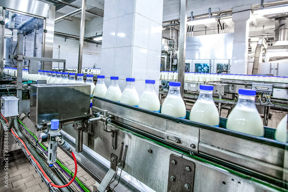 工厂里的牛奶生产。蓝色顶部的白色瓶子通过输送线。