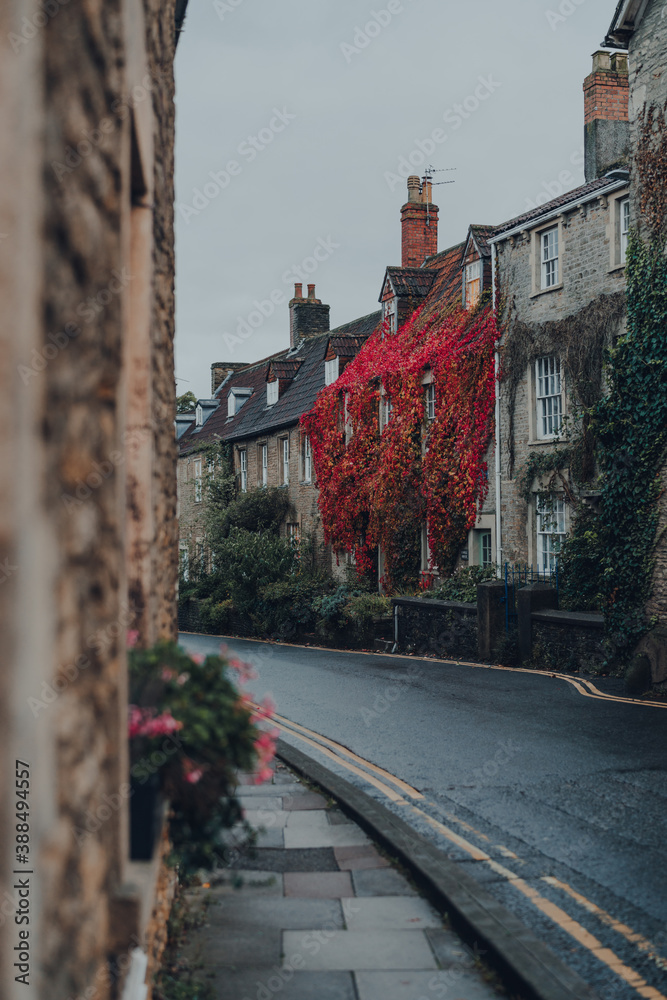 Row of old stone houses covered in red foliage on a street in Frome, Somerset, UK.