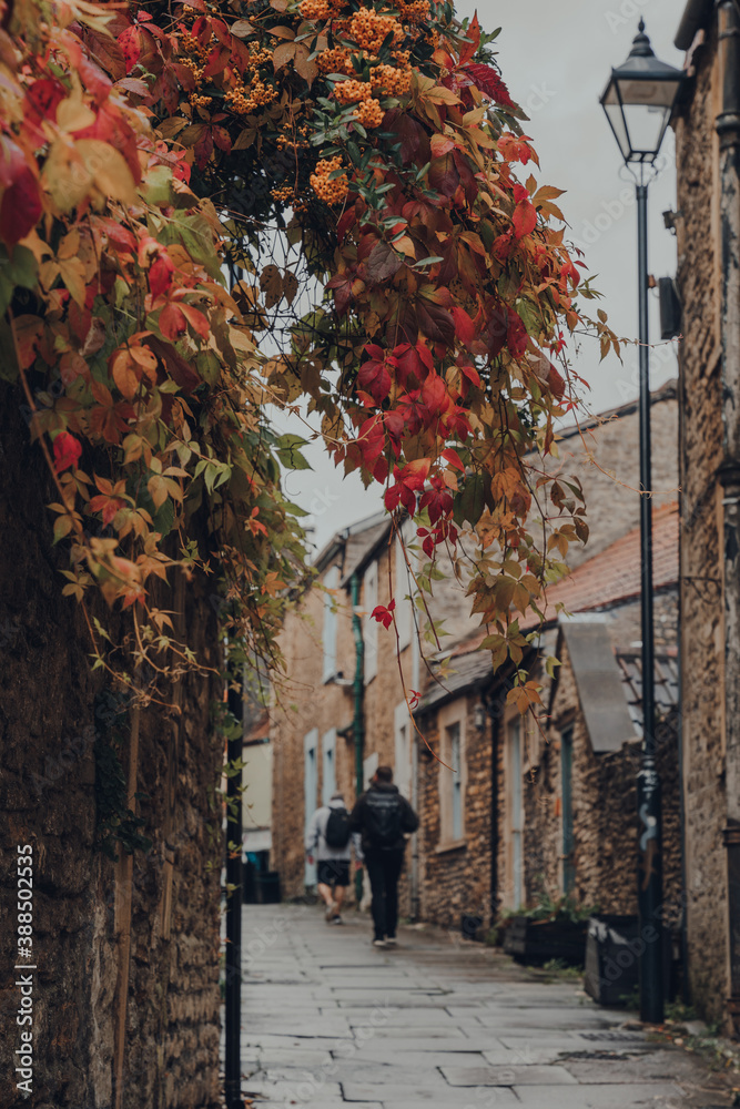 Red and yellow foliage on a street in Frome, UK, unidentified people on the background.