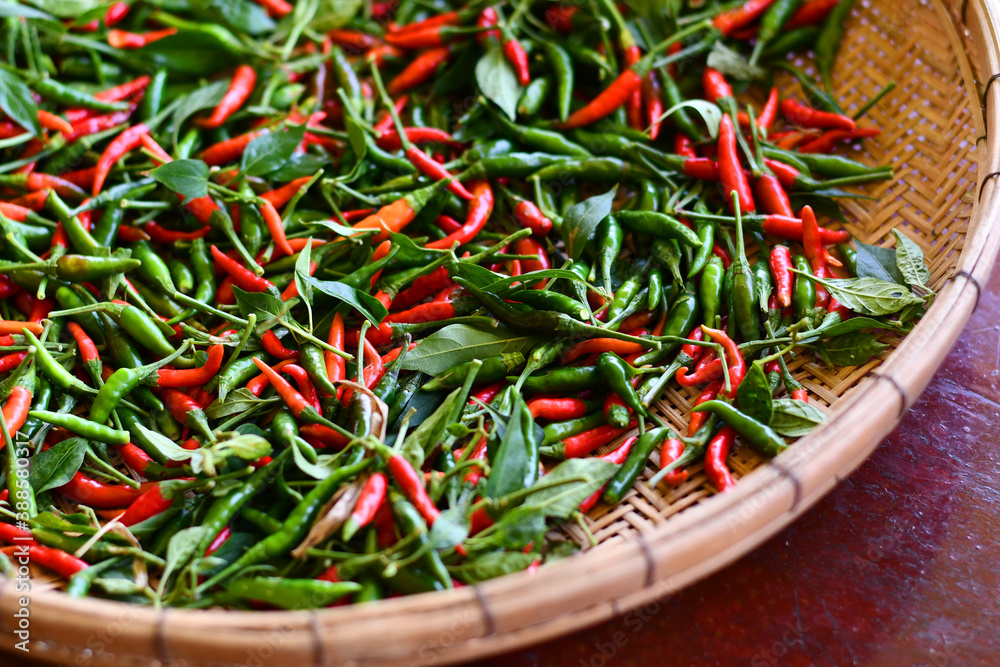 红辣椒和新鲜绿辣椒的特写，阿里安美食餐厅和餐厅的背景或背景