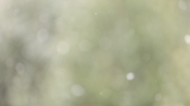Smoothly moving snow clumps with beautiful bokeh