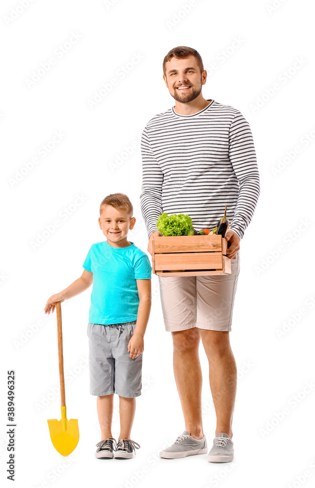 Young father and son with harvest on white background