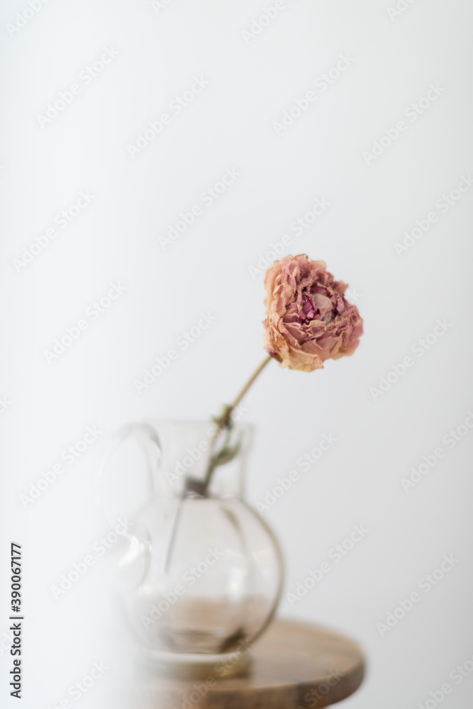 白色房间木凳上的玻璃罐里的干牡丹花