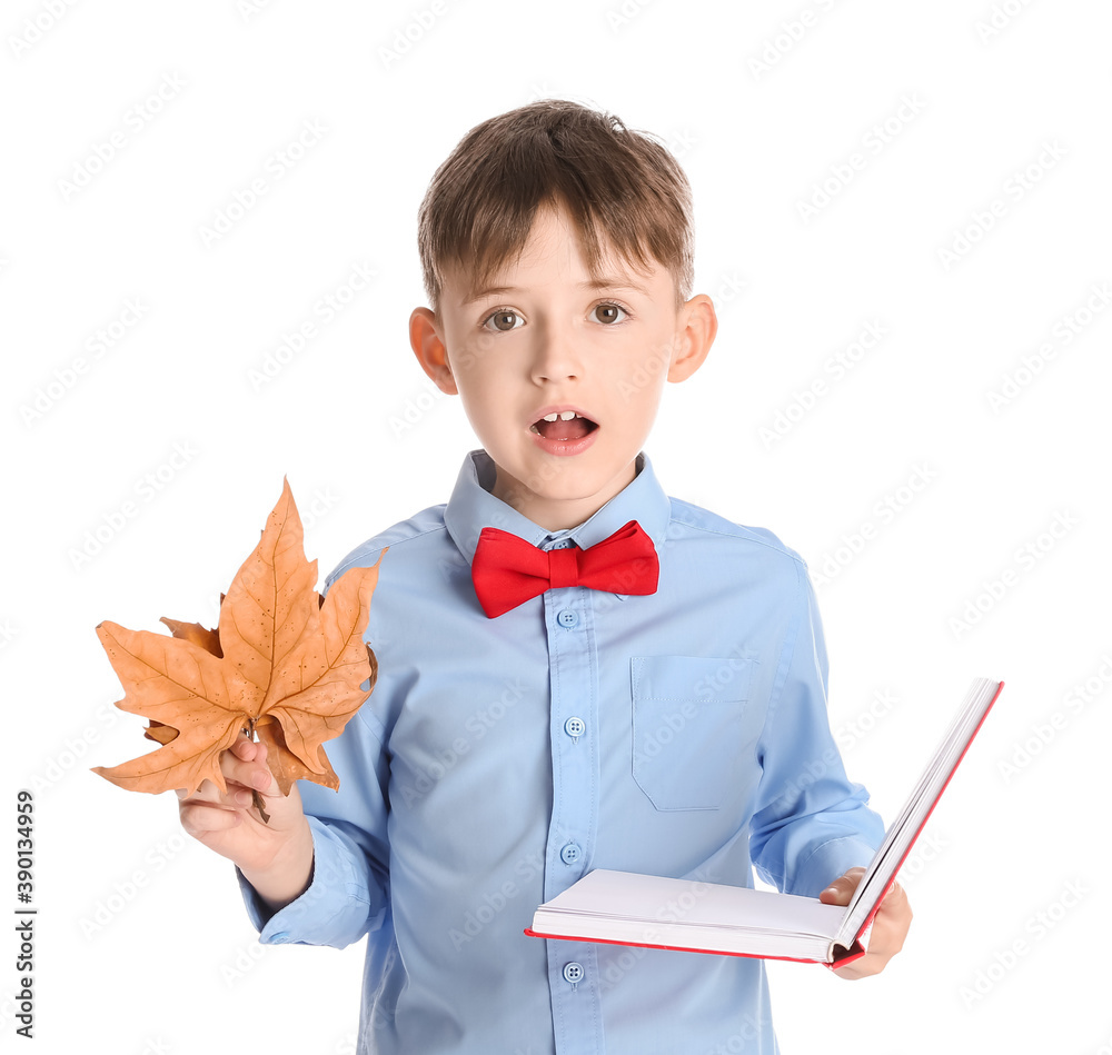 可爱的小男孩，秋天的叶子和白色背景的书