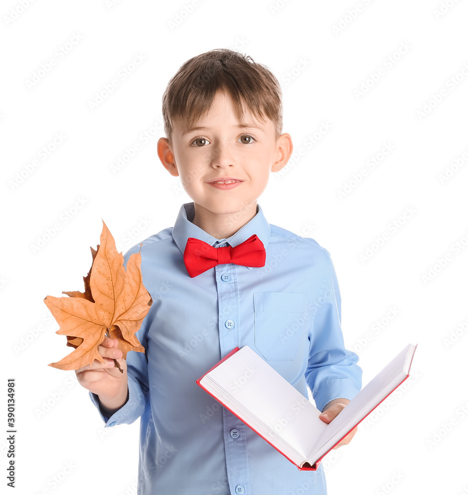 可爱的小男孩，秋天的叶子和白色背景的书