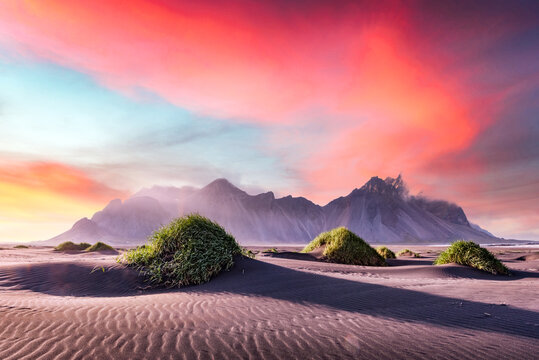 Gorgeous landscape with black sand desert dunes and grassy bumps near famous Stokksnes mountains on Vestrahorn cape, Iceland