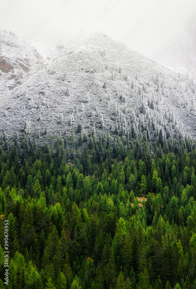 意大利多洛米蒂阿尔卑斯山全景。秋冬之间的森林和山脉。美丽