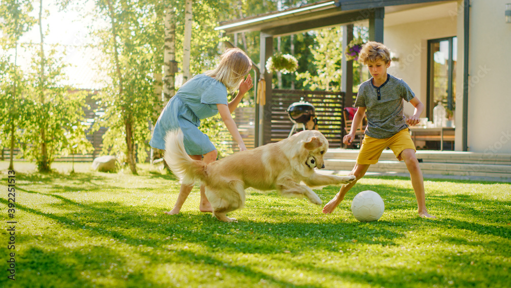 两个孩子在后院草坪上和他们英俊的金毛寻回犬玩得很开心。他们宠物，玩耍，吃玉米饼