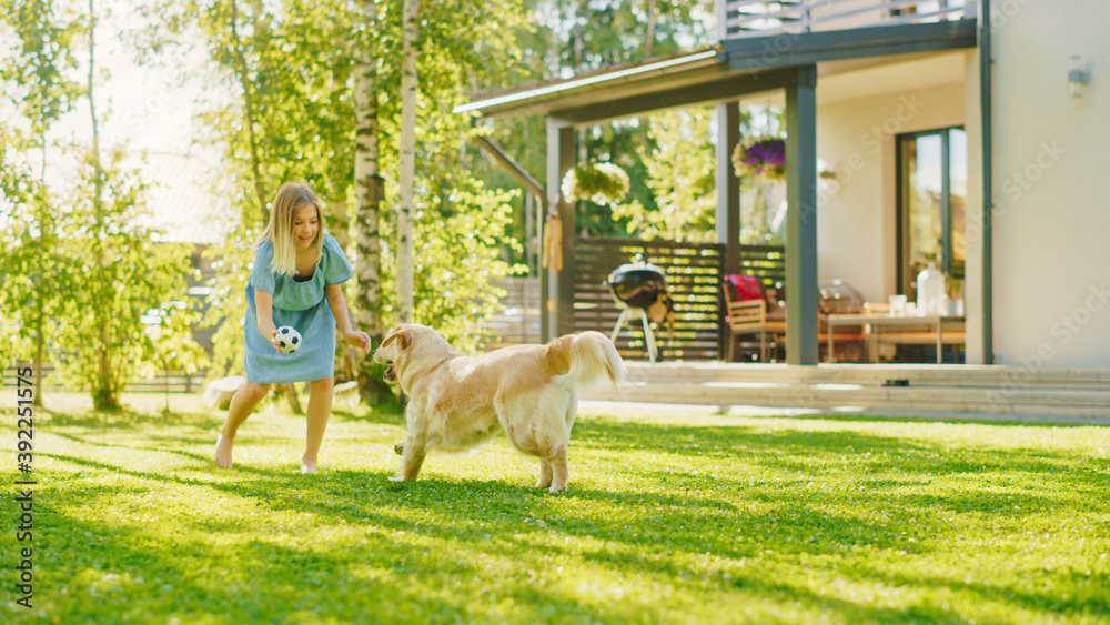 可爱的女孩在后院草坪上与快乐的金毛寻回犬玩得很开心。她用脚拿东西