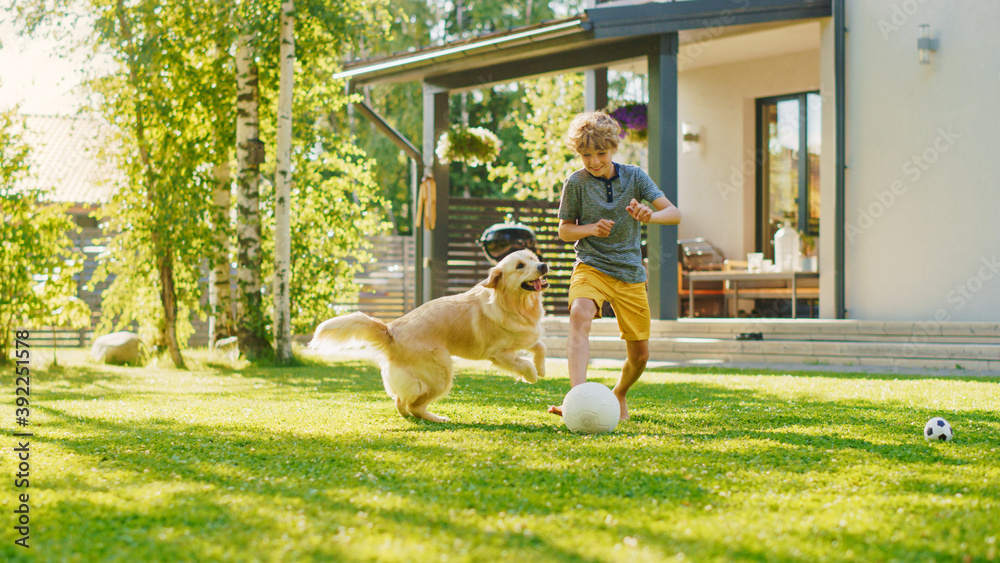 英俊的小男孩在后院草坪和快乐的金毛寻回犬踢足球。他踢足球