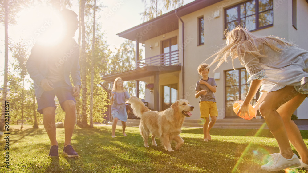 美丽的四口之家在后院草坪上与快乐的金毛寻回犬一起玩接球玩具球。我