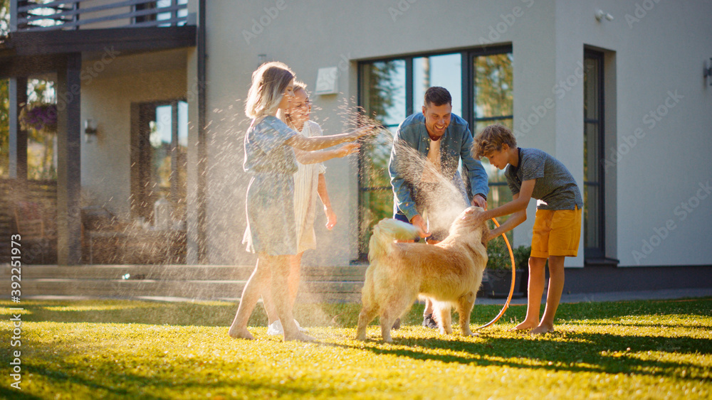 微笑的父亲、女儿、儿子与忠诚的金毛猎犬玩耍，用花园互相喷洒