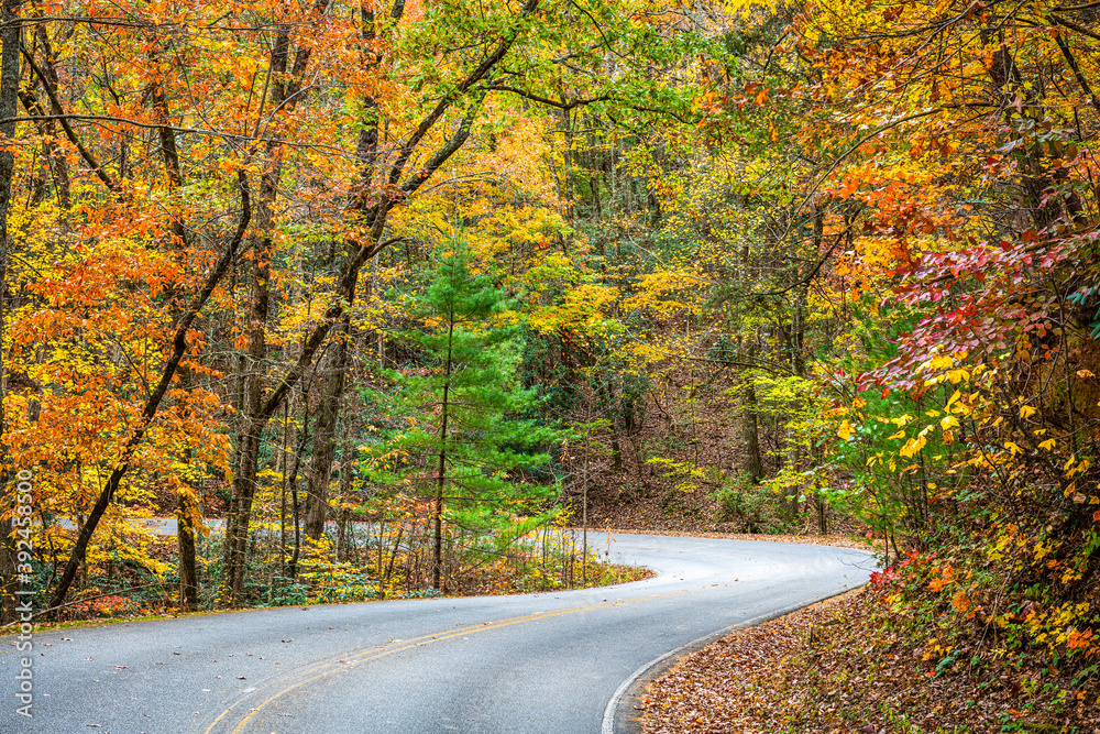 美国乔治亚州海伦附近的季节性落叶和道路