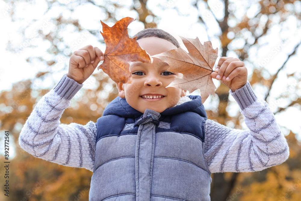 可爱的非裔美国男孩在秋季公园玩树叶