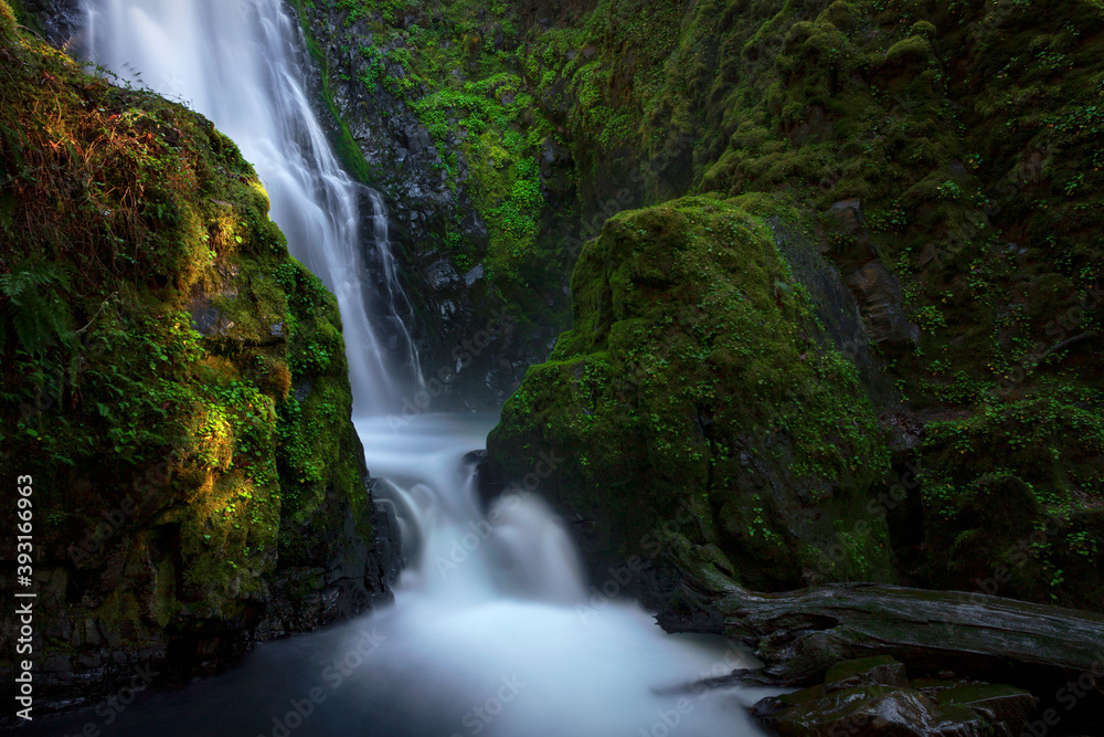 俄勒冈州被绿色苔藓包围的苏珊溪瀑布的发光图像。