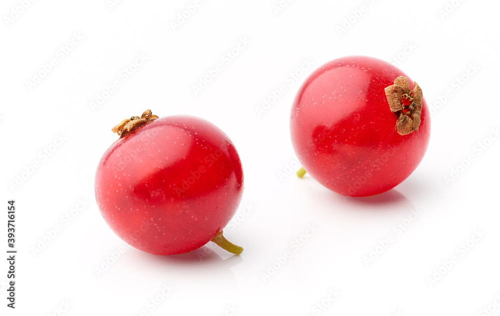 两颗红加仑浆果