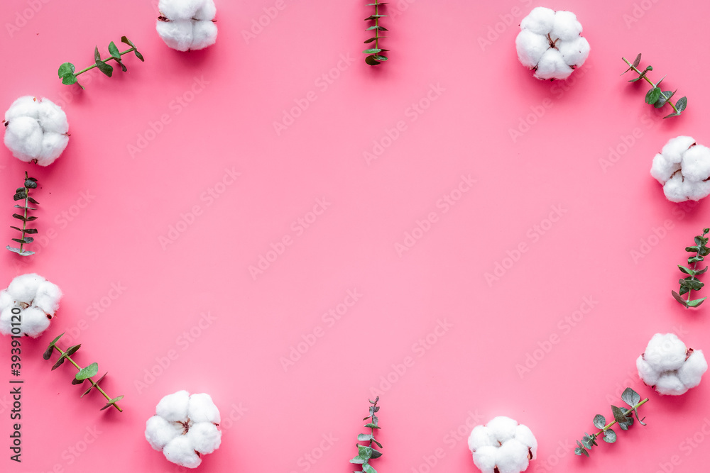 粉色背景上的鲜花框架，带有新鲜的桉树树枝和棉花俯视复制空间