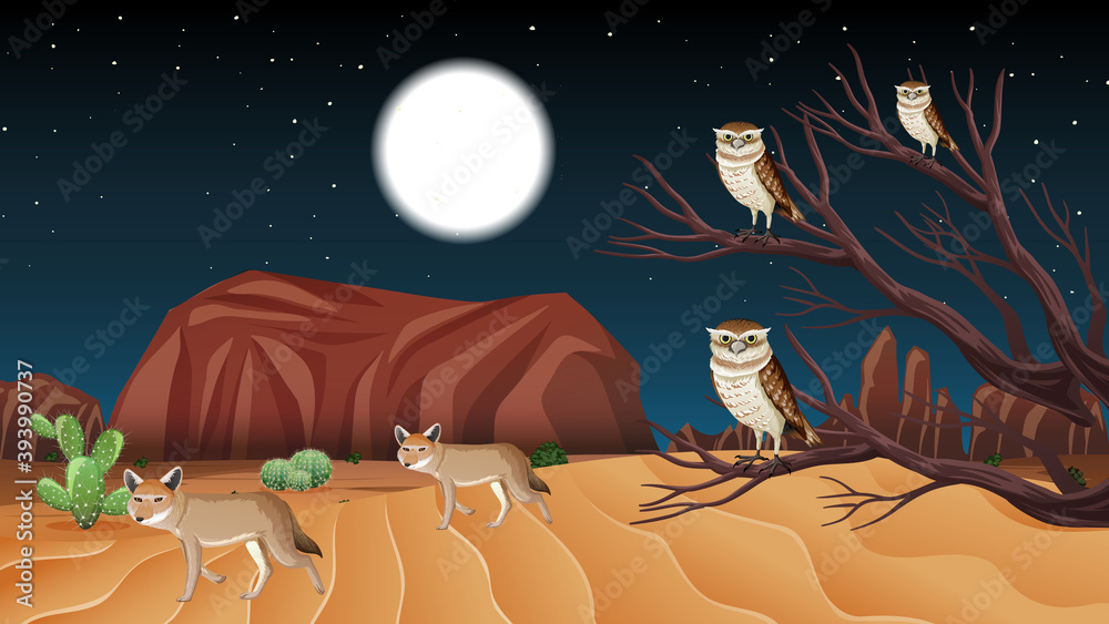 Wild desert landscape at night scene