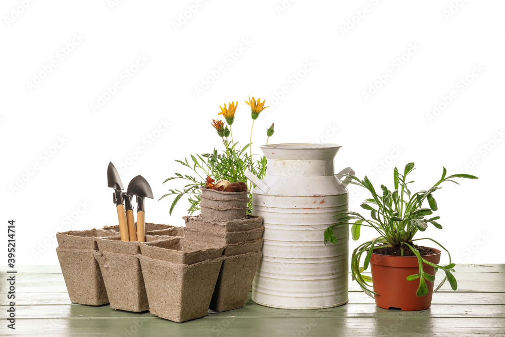 白色背景下的园艺工具和花盆