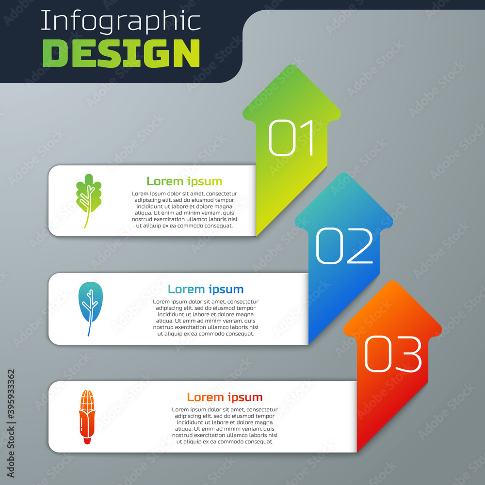 Set Leaf or leaves, Leaf or leaves and Corn. Business infographic template. Vector.