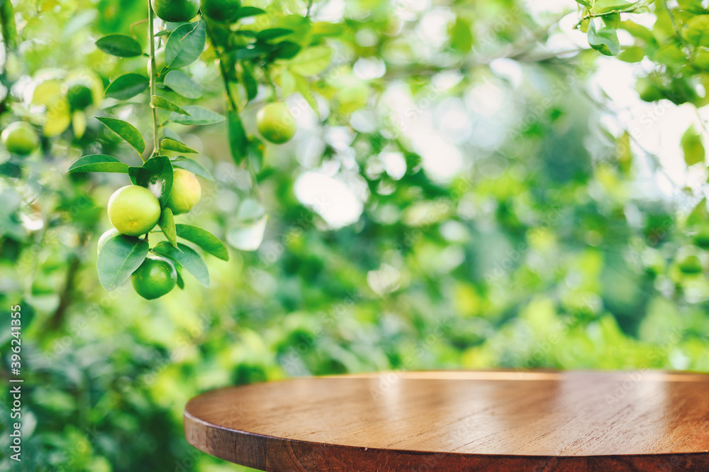 空木桌，花园里树上的绿柠檬上有空闲空间，背景是绿柠檬地。