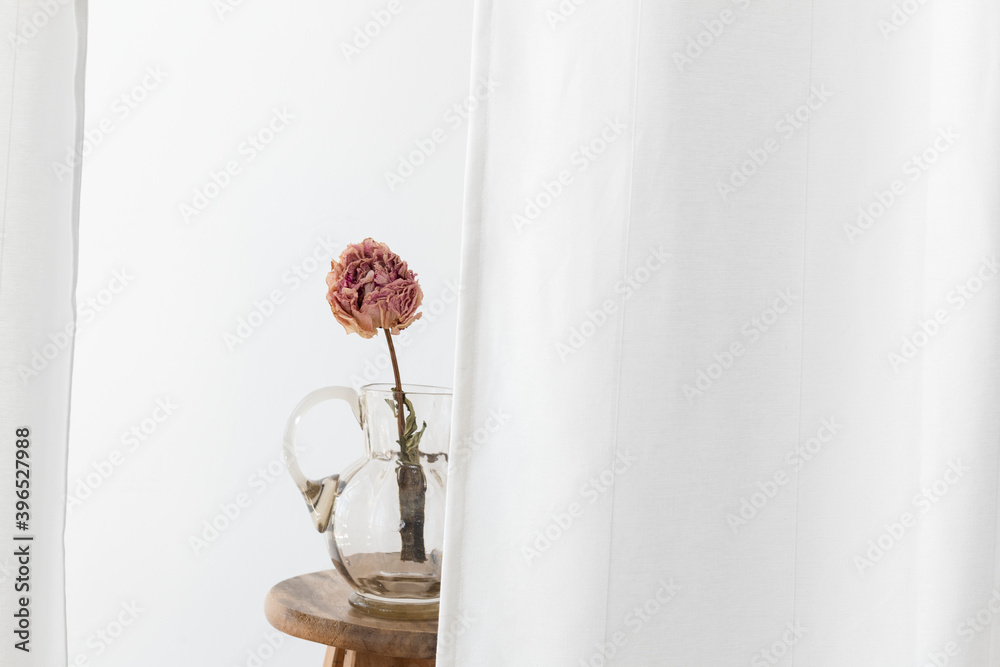 Dry peony flower in a glass jug on a wooden stool in a white room