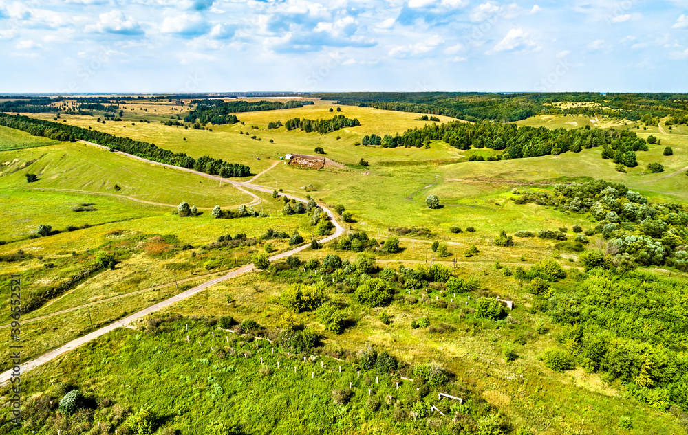 俄罗斯中部高地的空中景观。库尔斯克地区的卢克扬奇科沃村。