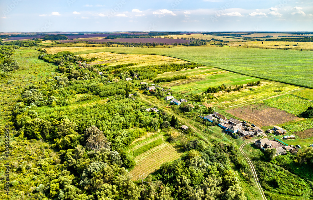 俄罗斯中部高地的空中景观。库尔斯克地区的卢克扬奇科沃村。