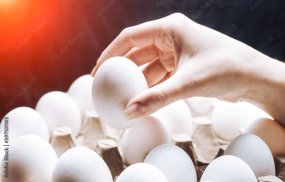 纸板鸡蛋托盘中的鸡蛋。一个托盘中的白鸡蛋。农产品。天然蛋蛋白