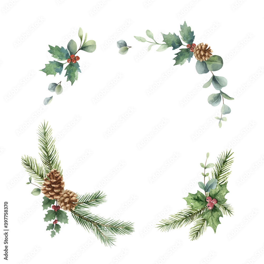 水彩矢量圣诞花环，有冷杉树枝、松果和桉树。