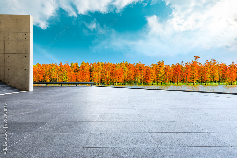 空旷的广场楼层，秋天色彩缤纷的森林自然景观。