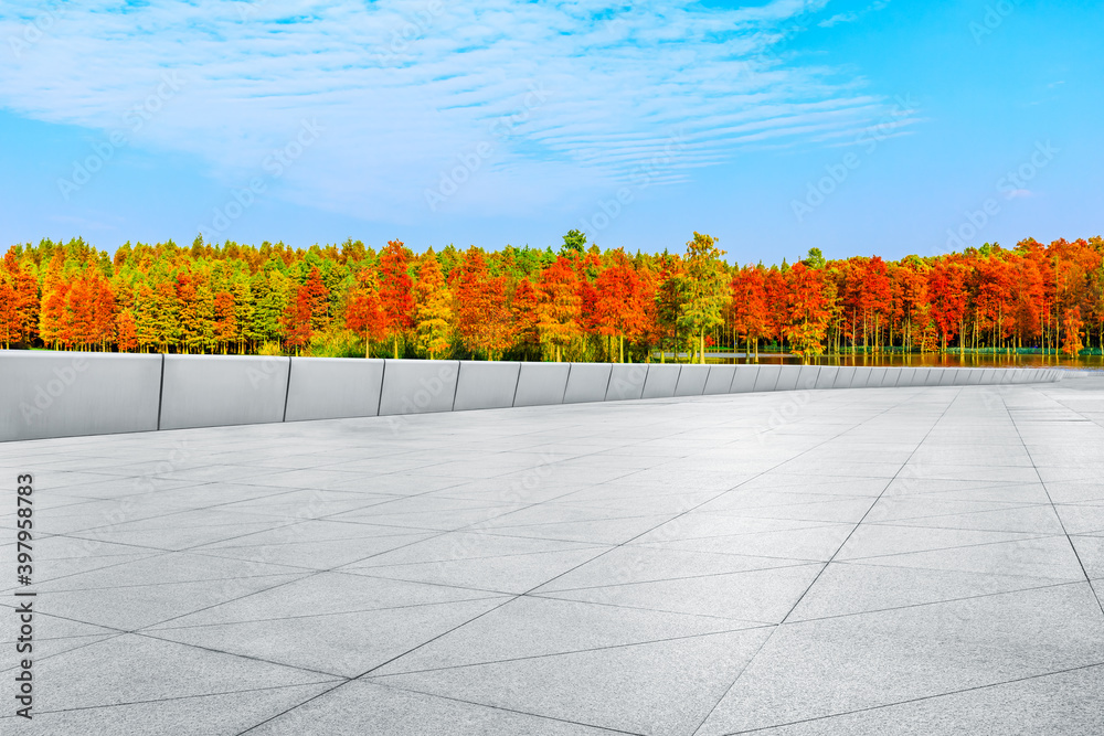 秋季空旷的广场地面和色彩缤纷的森林自然景观。