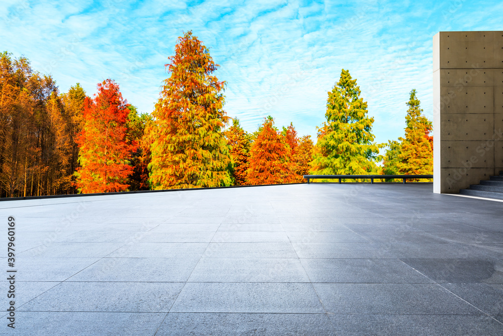 秋天空旷的广场和色彩斑斓的森林自然景观。