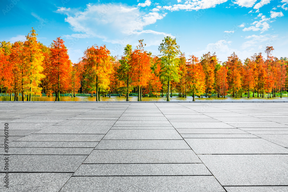 空旷的广场楼层，秋天色彩缤纷的森林自然景观。
