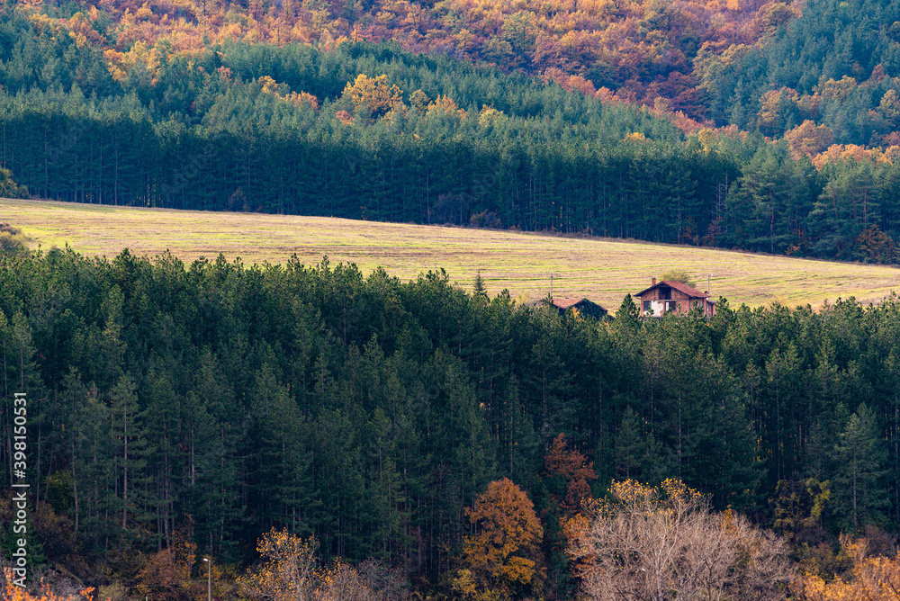 保加利亚，E，秋天的森林山丘上有大片农田的房子，色彩鲜艳，细节鲜明