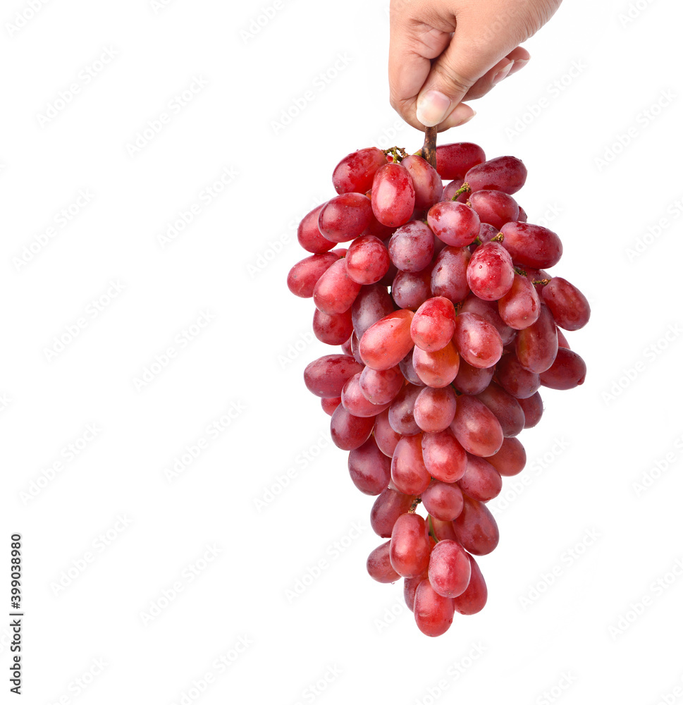 手拿着一大串白色背景的红葡萄。