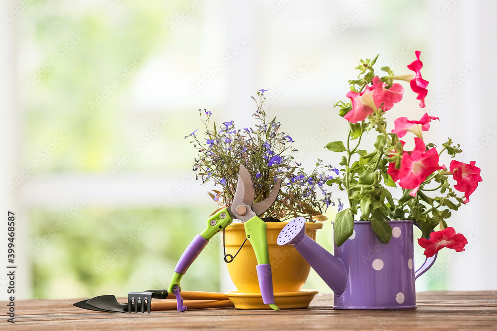 餐桌上的植物和一套园艺工具